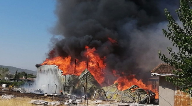 اندلاع حريق هائل في مصنع للأخشاب بولاية أزمير