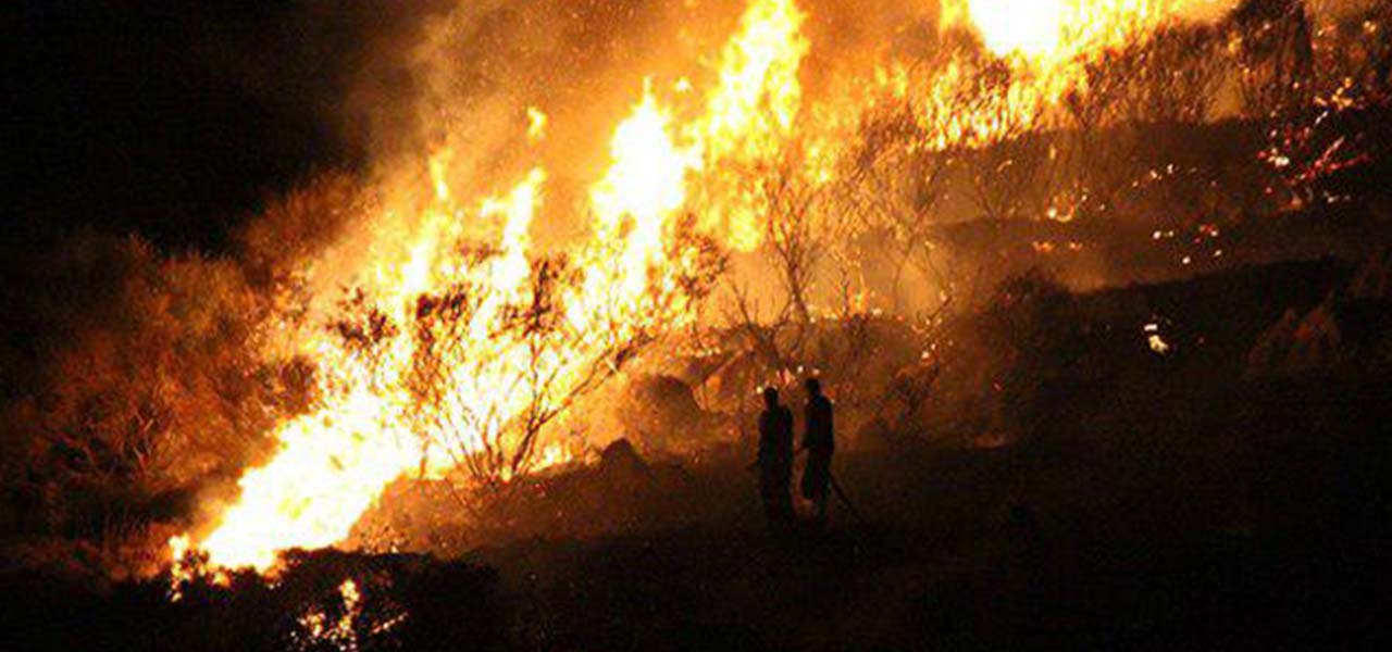 فريق الإطفاء التركي يخمد حريقا هائلا في ولاية بودروم