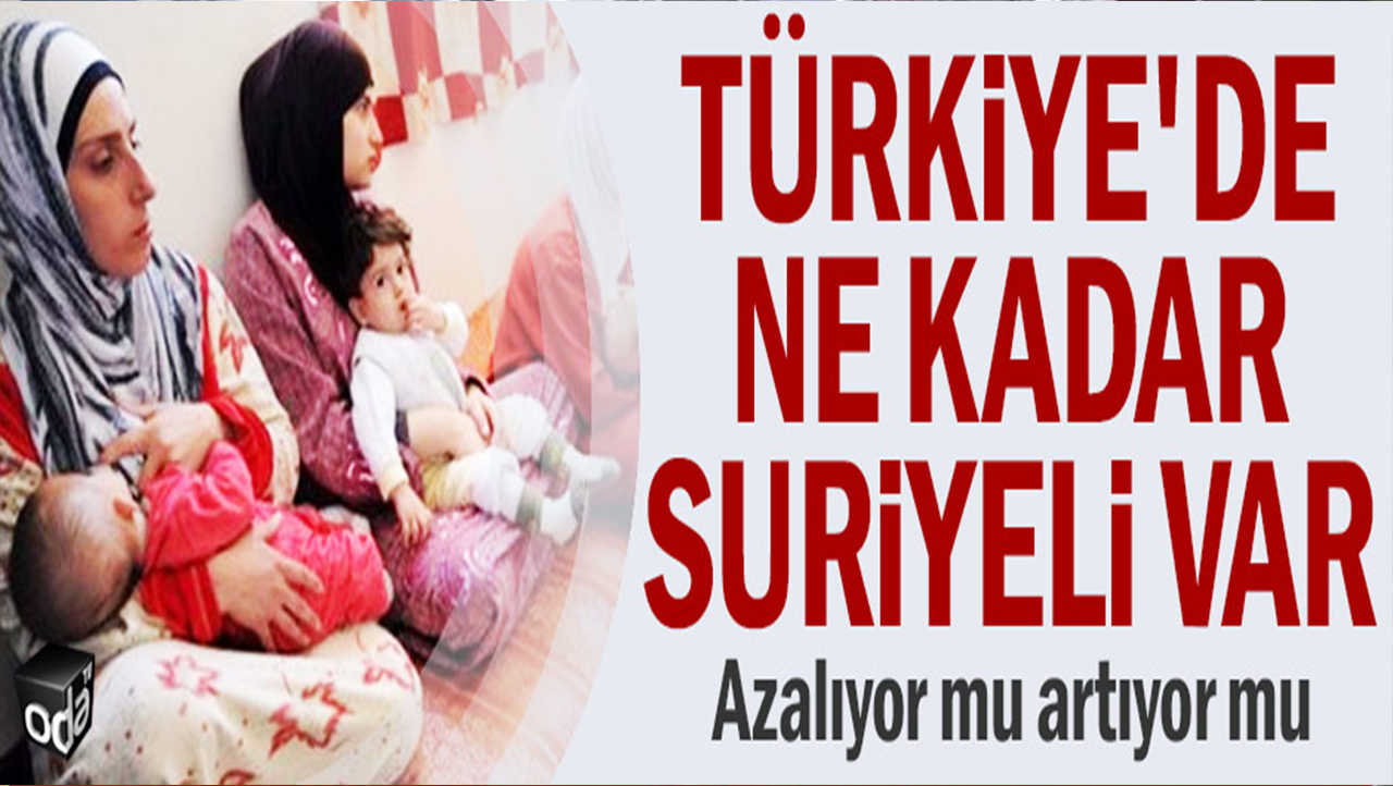 إحصائيات جديدة متعلقة باللاجئين السوريين في تركيا