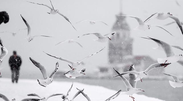 الأرصاد الجوية التركية تحذر من تساقط الثلوج وتشكّل الصقيع في مدينة إسطنبول