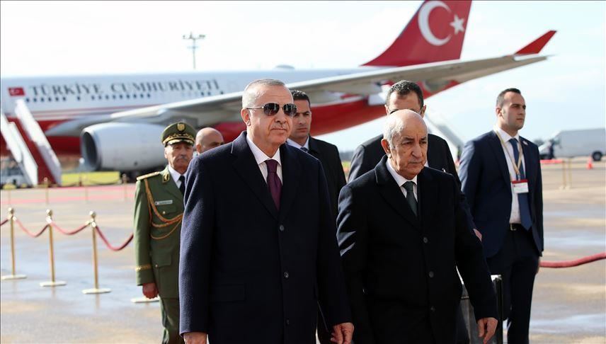 أردوغان وتبون يبحثان العلاقات الثنائية وقضايا إقليمية