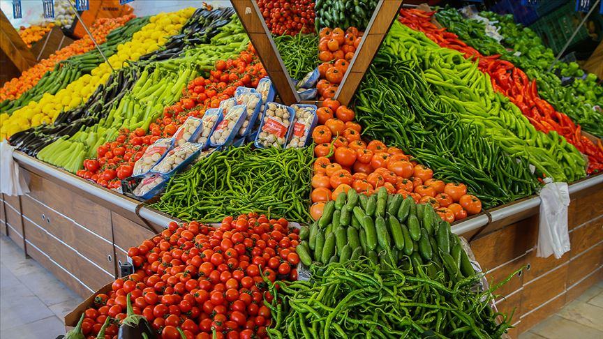 زيادة صادرات الخضراوات والفواكه التركية إلى روسيا 26 بالمئة