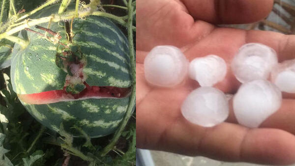 عاصفة مطرية مصحوبة بـ”حبات برد كبيرة” تخلف خسائر مادية جسيمة في هذه الولاية التركية
