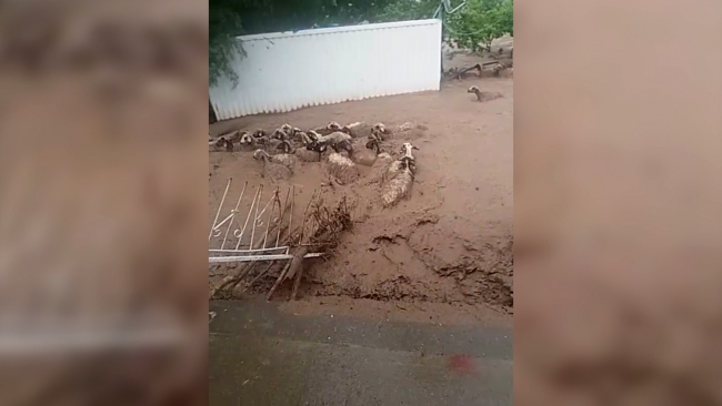 أضرار واسعة وخسائر مادية كبيرة بسبب سيول الأمطار الغزيرة في ولاية “وان” (فيديو)