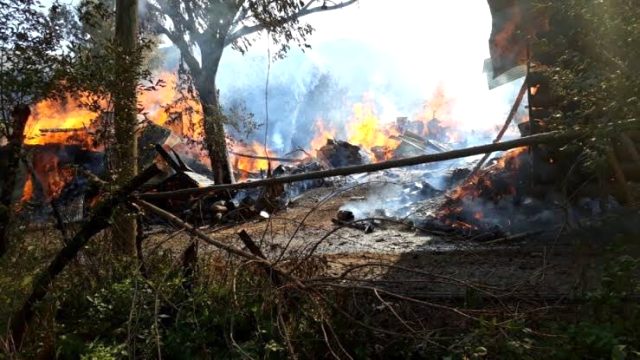 أتى على نحو 70 منزلاً.. اندلاع حريق هائل في ولاية أرتفين والرياح تسهم بزيادة انتشاره