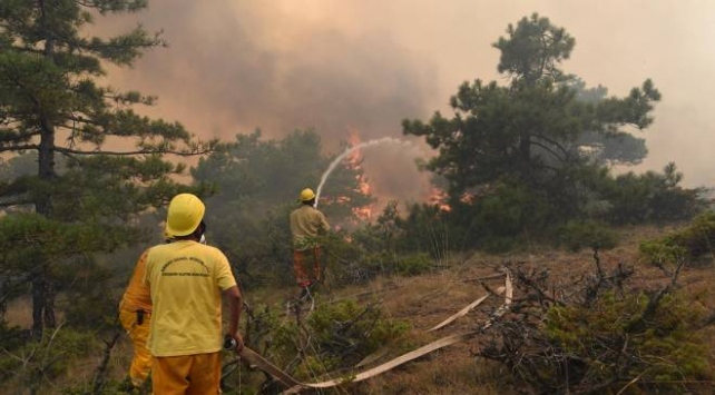 “إسكي شهير” تحظر دخول غاباتها لمدة طويلة بهدف الحد من الحرائق المتكررة
