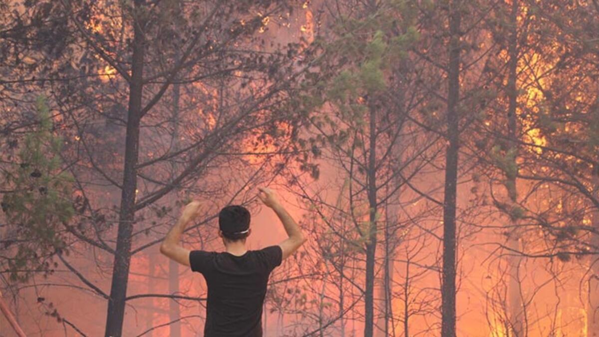 فرق الإطفاء تحاول إخماد حريق هائل في غابات أضنة (صور)