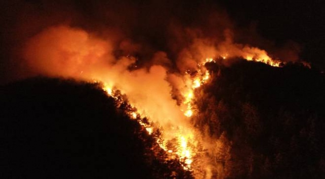 فرق الإطفاء التركية تواصل محاولة السيطرة على حريق هائل في غابات أضنة  (صور)