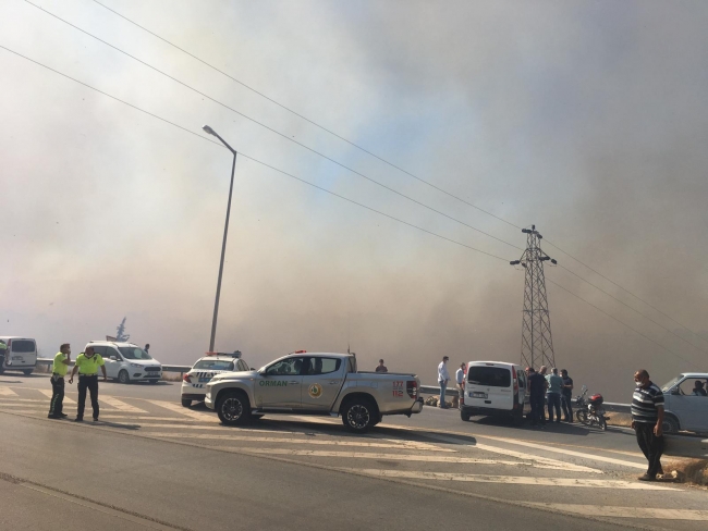 فرق الإطفاء تحاول السيطرة عليه.. حريق بغابات هاتاي يهدد المناطق السكنية المحاذية للحدود السورية (صور)