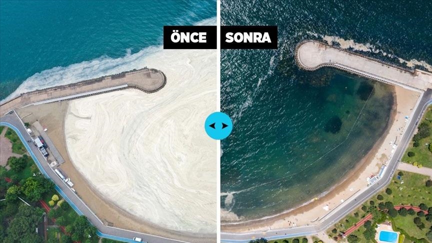 نتائج إيجابية لحملة تنظيف بحر مرمرة من “الصمغ البحري”