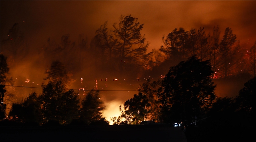 إصابة العشرات جراء حرائق الغابات في ولاية أنطاليا التركية