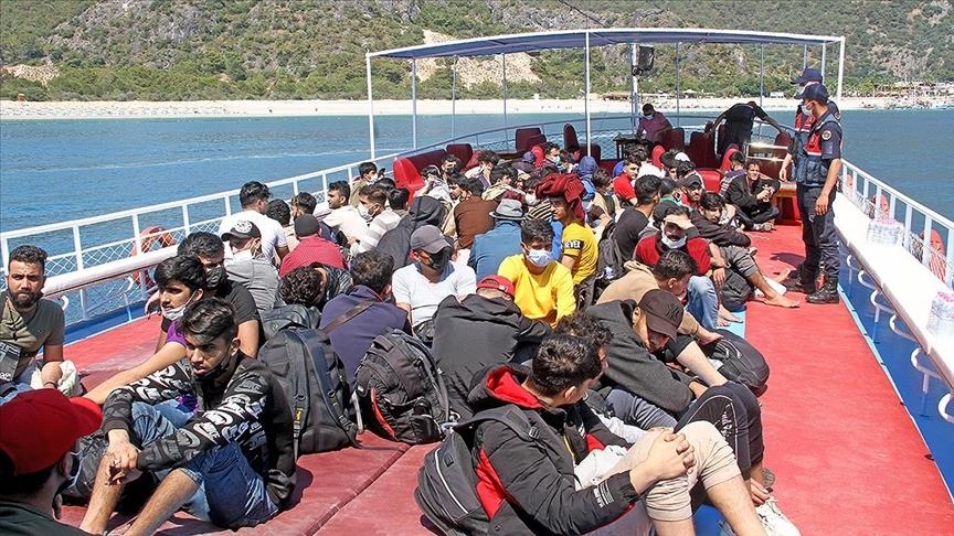 بينهم 3 سوريين.. تركيا تضبط 82 طالب لجوء في ولاية موغلا