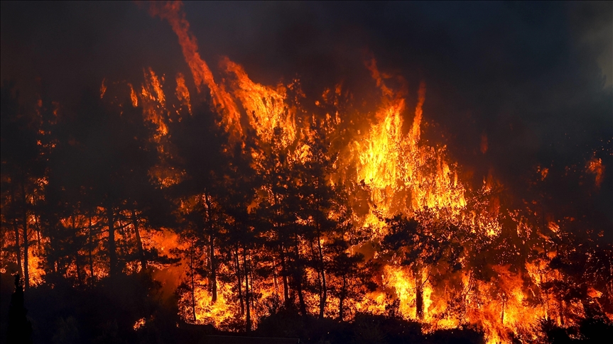 إصابة شخص وتضرر 53 جراء دخان حرائق غابات بأنطاليا