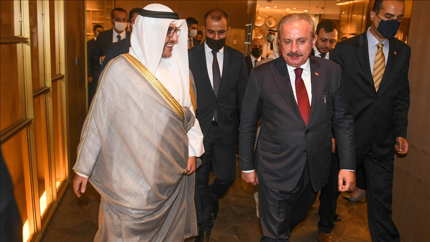 رئيس البرلمان التركي يلتقي وزير الخارجية الكويتي