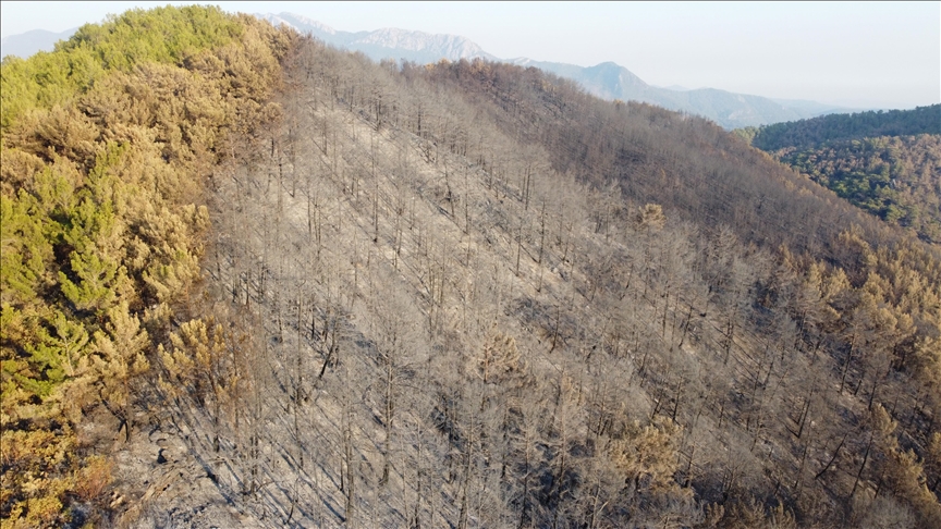 مشاهد جوية لإحدى المناطق المتضررة من الحرائق في أنطاليا (صور)