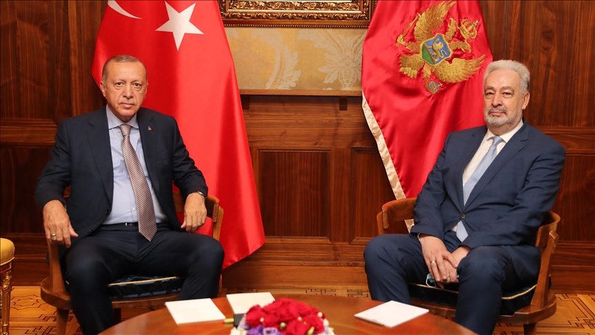 أردوغان يلتقي رئيس وزراء الجبل الأسود