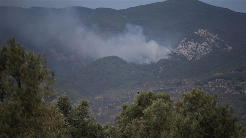فرق الإطفاء تكافح حريق غابة اندلع شمال غربي تركيا
