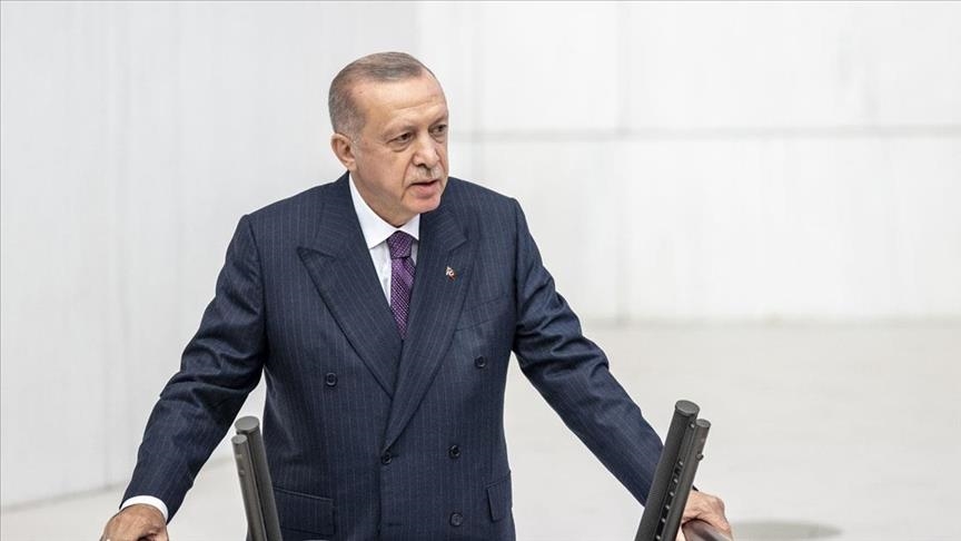 أردوغان يتعهد بنظام حوافز للاستثمار أكثر جاذبية