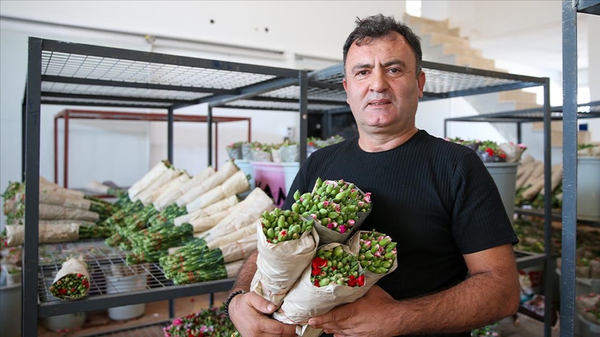 125 مليون دولار قيمة صادرات تركيا من الزهور في 2021