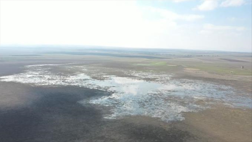 تركيا.. الطيور المهاجرة تعود إلى بحيرة “كويوجوك” بعد فترة جفاف