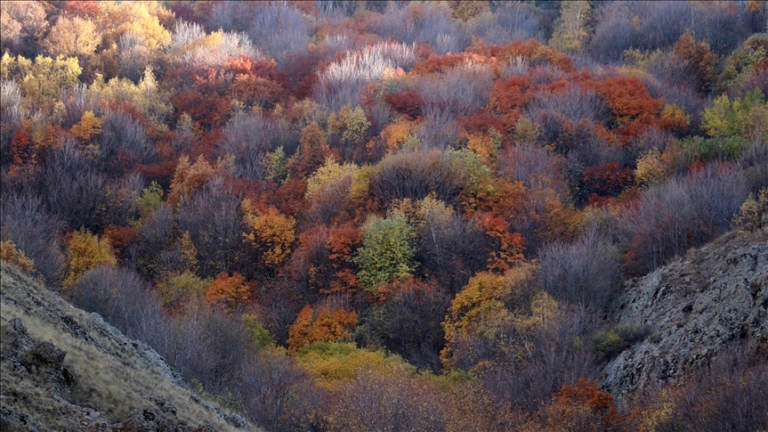 ألوان الخريف تسحر الأنظار في وديان أغري التركية