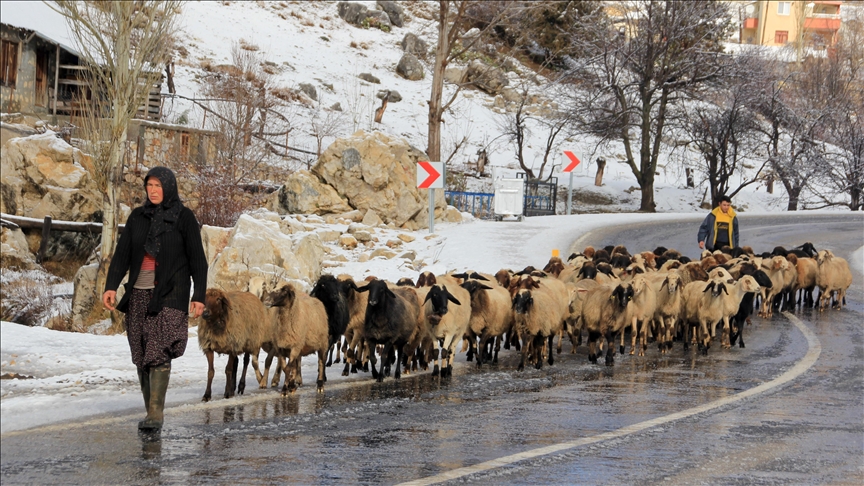 الأتراك الرُحّل يغادرون جبال طوروس إثر تساقط الثلوج