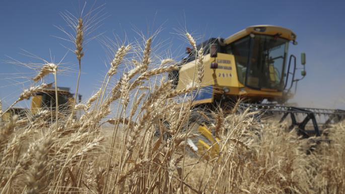 ارتفاع إنتاج تركيا من القمح لمواجهة نقص الإمدادات من روسيا وأوكرانيا