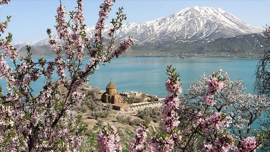 تركيا.. جزيرة آقدمار تترصع بأزهار اللوز