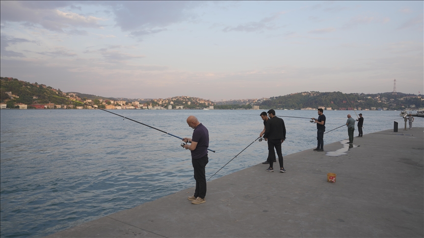 عشرات الهواة يتنافسون على الصيد في سواحل البوسفور بإسطنبول